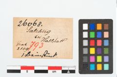 Etikett zu Beinanhänger (NHMW-PRAE-026068)